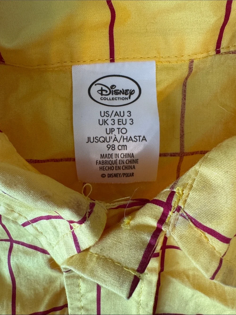 Disney Woody Costume